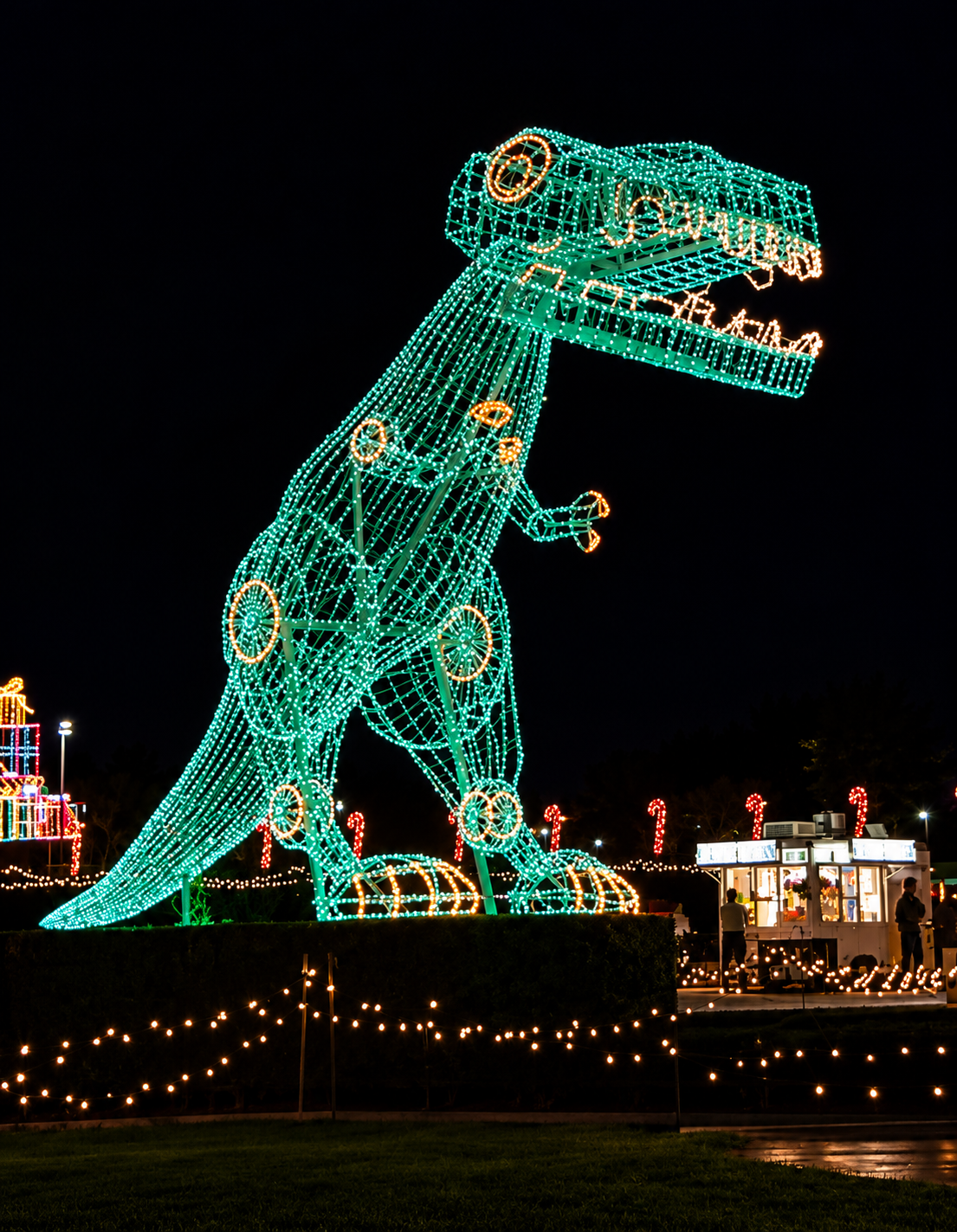 Carousel Image